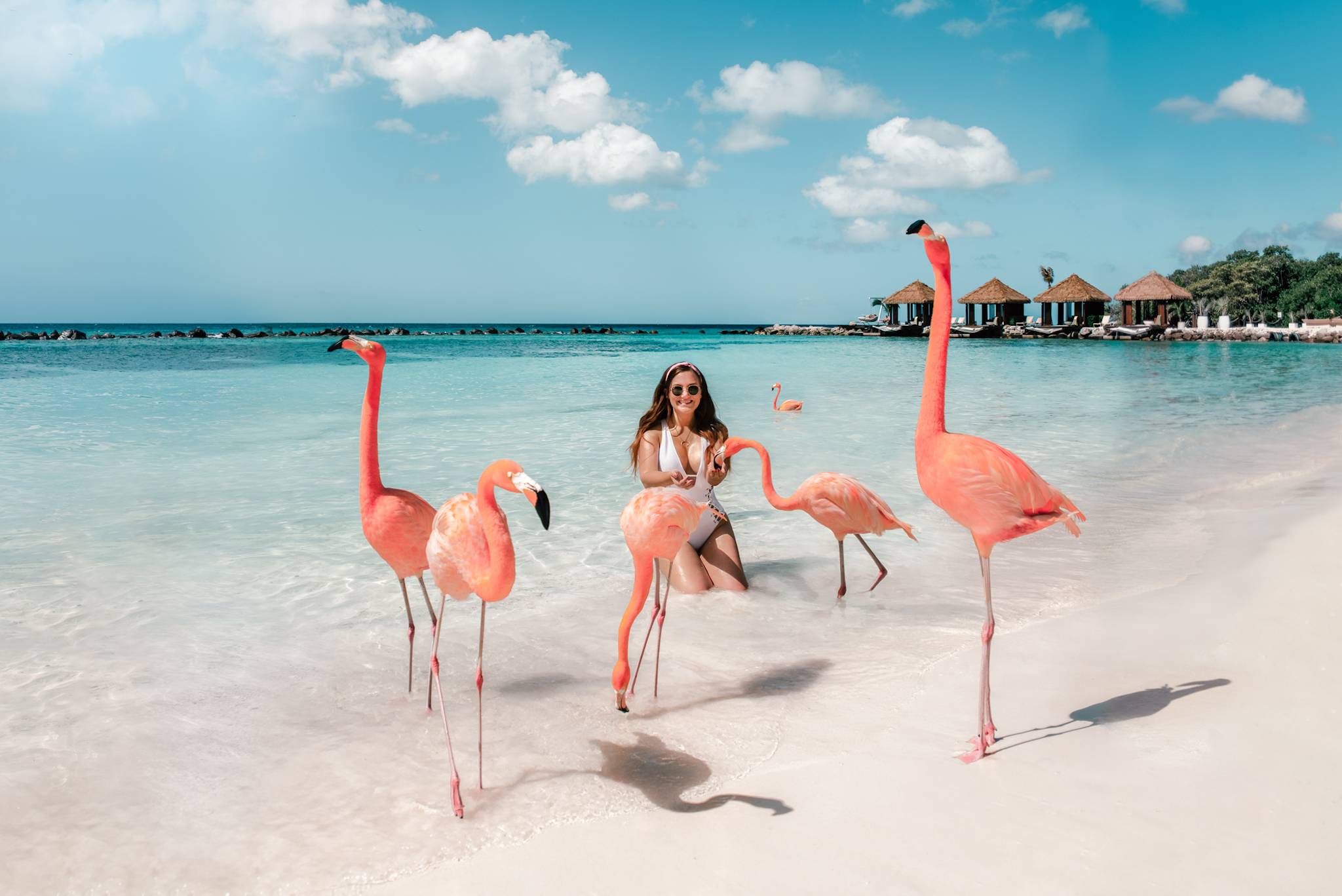 Đảo hồng hạc thu hút khách du lịch